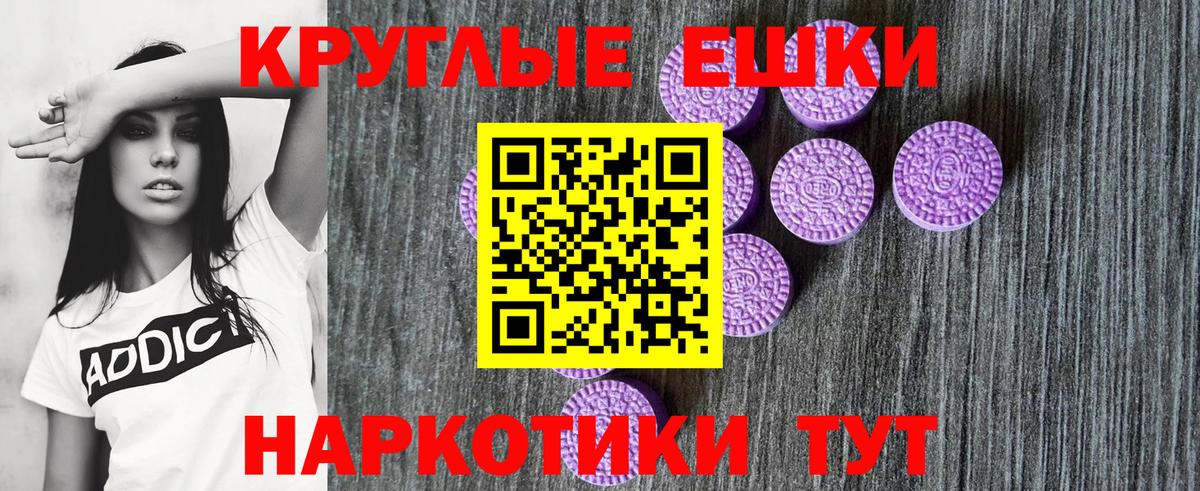 Ecstasy бентли Энгельс