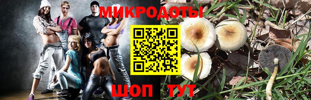 Псилоцибиновые грибы мицелий  Вход с VPN  Энгельс 