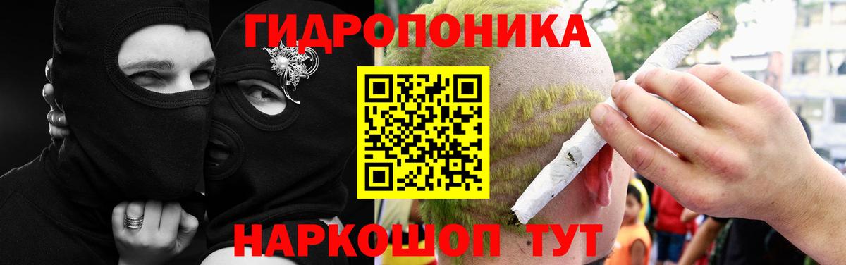 Бошки Шишки Bruce Banner Энгельс